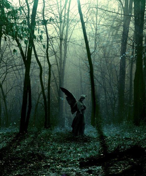wheneveritfeelsright:  sixpenceee: Angel of the Forest. This statue is can be found