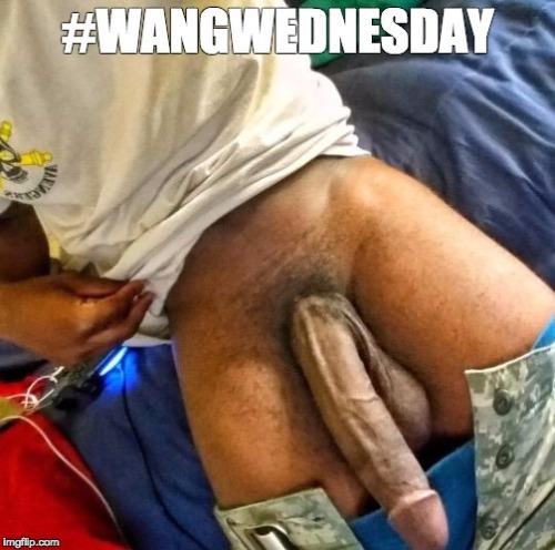 cumdumpincali:  Happy Humpday: 🍆 #Wangwednesday 🍆