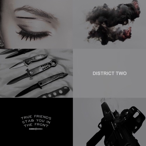 nightlock:the hunger games locations: district 2 District 2 is one of the largest and wealthiest dis