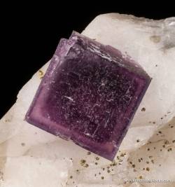 hematitehearts:  Fluorite on Calcite with