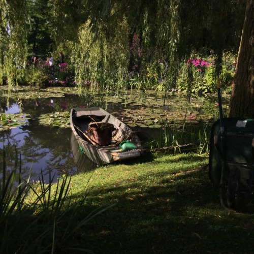 mypasalacqua: i still can’t believe i got to visit monet’s garden in giverny.. a dream c