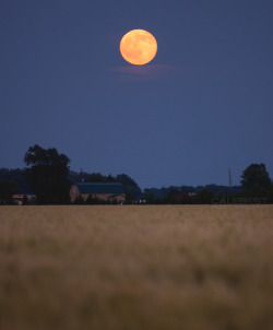 seebest:  The Summer Solstice Full Moon Rise