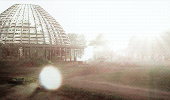 divergentofficial:  This just reminded us how awesome the INSURGENT trailer looks!