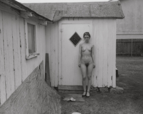 inrooms:  little birds„, silver gelatin adult photos