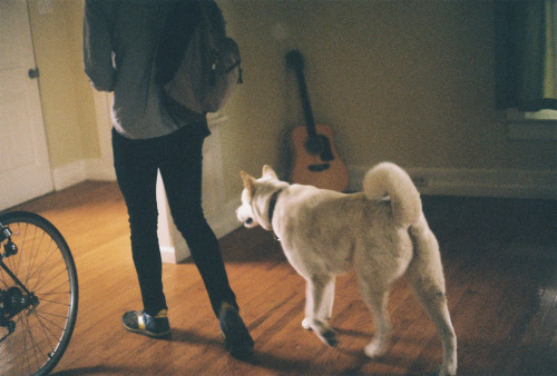 flanerie:  (by kate van bee) 