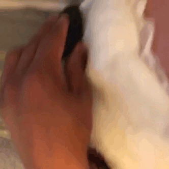 babyhenabdl:  Daddy says as long as I stay in my diaper, I can still use my toy 