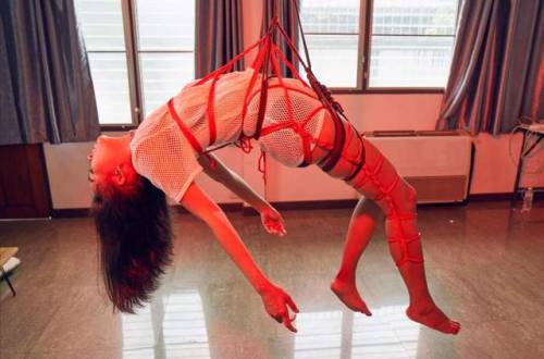 untitledminor:  22  Chubbychain Project Model: Titirat Sungatin Rope bondage by me