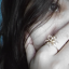 wireddaisy