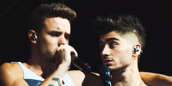 ziamsex:  They look at each other, like they