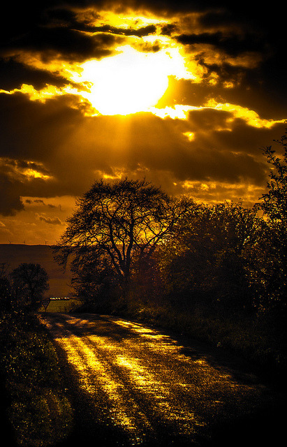 chillypepperhothothot:Burning skies. by CWhatPhotos on Flickr.