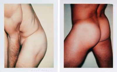gayartists:Torsos and Sex Parts, Andy Warhol 1977