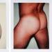 gayartists:Torsos and Sex Parts, Andy Warhol 1977