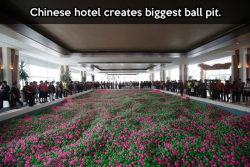 srsfunny:  The biggest ball pit in the world…http://srsfunny.tumblr.com/