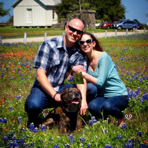 #poopingonbluebonnets