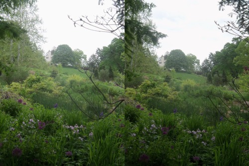 UphillCross your eyes a little to see these photos in full 3D. (How to view stereograms)