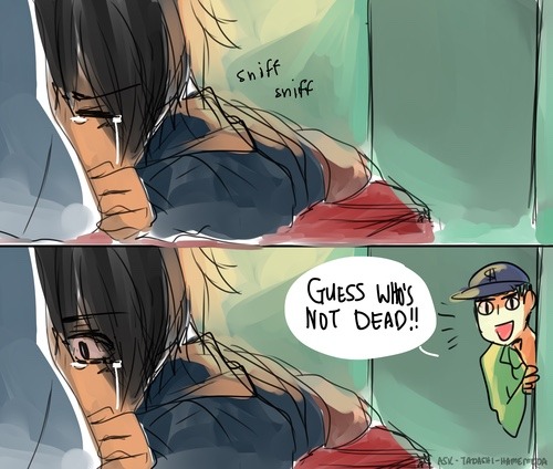 levis-thug-life:  Haters gonna hate i don’t care  and i know its wrong but i ship Hidashi its fucking cute (hope u don’t hate me chibi neko) ^_^credit to the people that made this!!!!
