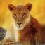 lioness-arising