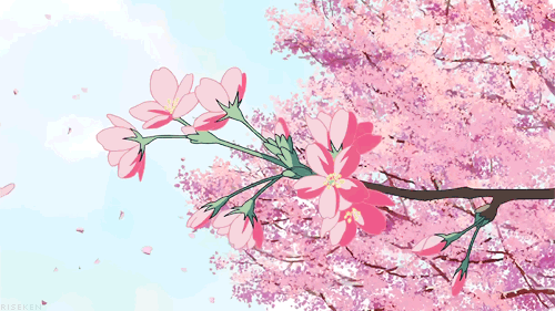 ♡ド キ ド キ♡