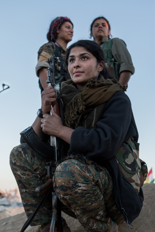 kurdishstruggle:Yezidi YBŞ Fighters