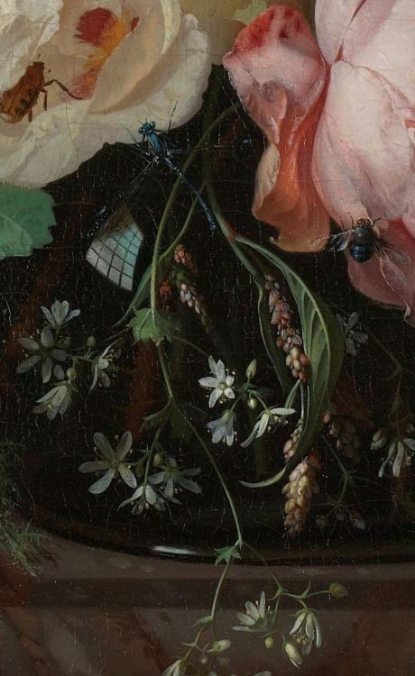 Rachel Ruysch, Still Life with Flowers on a Marble Tabletop (detail), 1716. Oil on canvas, 48.5 × 39