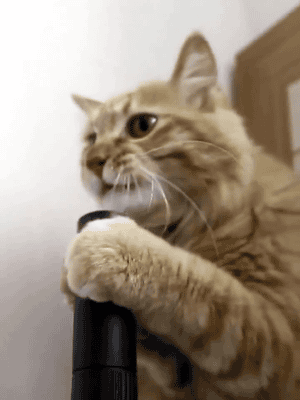 gif-giz:  Bestagrup.com