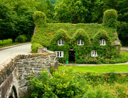 sixpenceee:  Fall Transformation Location From Top To Bottom:  Tu Hwnt I’r Bont Tearoom in Llanrwst, North Wales Forest Lake In Poland Poet’s Walk, Central Park, New York, USA Capitol Creek Valley Grand Island East Channel Light House, Michigan, USA