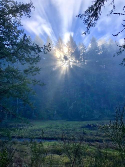 nicetrails:When your hike becomes a transcendent experience, WA [OC] [4032x3024]