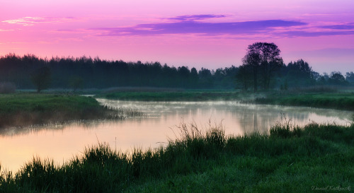 lamus-dworski: kosmo1982: Wschód słońca nad Biebrzą Sunrise over the Biebrza river, Poland.