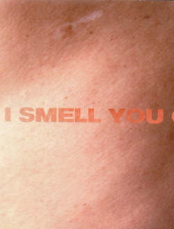 i-r-w:   Helmut Lang and Jenny Holzer, I Smell You On My Clothes, 1997  