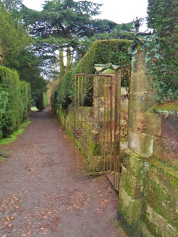 vwcampervan-aldridge:  Ornamental iron Gates