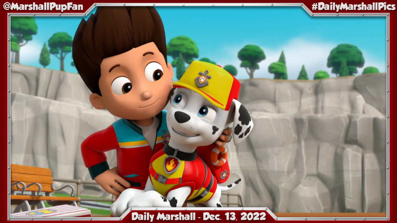 Marshall Pup Fanatic — Daily Marshall - December 13, 2022