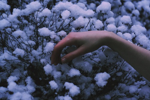 wetheurban:PHOTOGRAPHY: NisheNishe (aka Magdalena Lutek) is an up-and-coming Polish photographer who