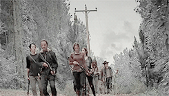 empressmcbride:  TWD Meme: 4 Quotes↳ [ 2/4 ]“We survive this by pulling together, not apart.”