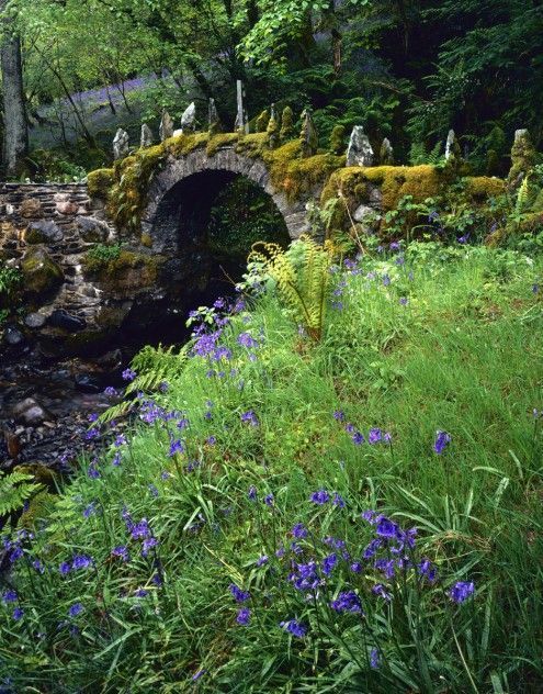 bonitavista:Fasnacloich, Scotlandphoto via alli