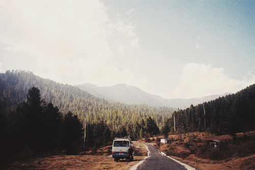 magicsystem:untitled by rachael hyde on Flickr.