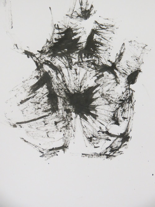 Ink Studies To further experiment with the idea of the feel of the body rather than purely the aesth