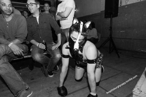 Jockstrap lube wrestling! Picking up dollar bills for the performers with your paws is harder than I