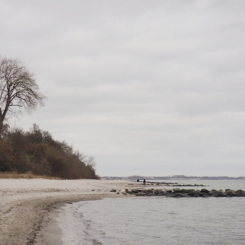 iknowthis:03.03.2019black tea and the baltic sea