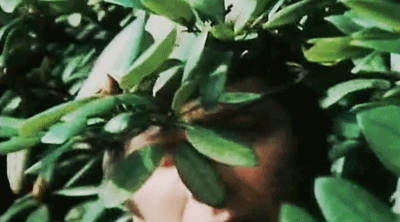 allhailthemightyquattro:The Time Monster  -  Jo: And that was the secret of life? A daisy?
