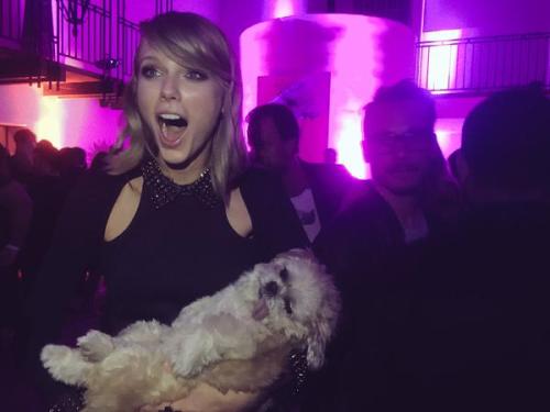 sauerbrunns:marniethedog Let’s go take a nap together taylorswift