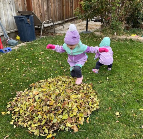 We enjoyed raking up the leaves and jumping in the piles today, even though it was on the chillier s
