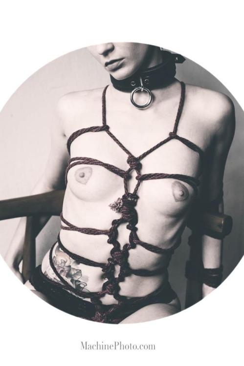 foxorz:  Photography - Machinephoto Rope - Stephen Adams RedXRoper  Model - Fox Chalker   The debut of my new heart nipple tattoos! ♥  (Please feel free to reblog but do not remove credit if you do! Thank you!)