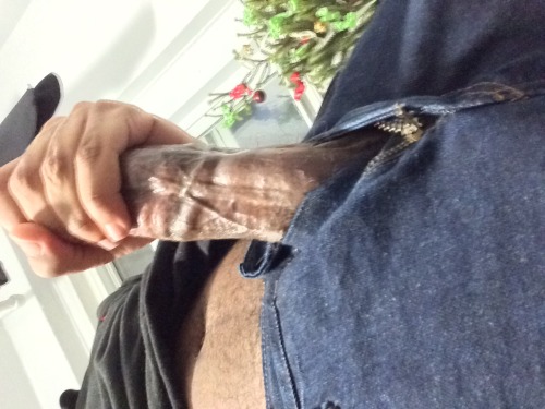 cutelysavage:  Sometimes my jeans can’t even hold back how horny I get😏¯\_(ツ)_/¯