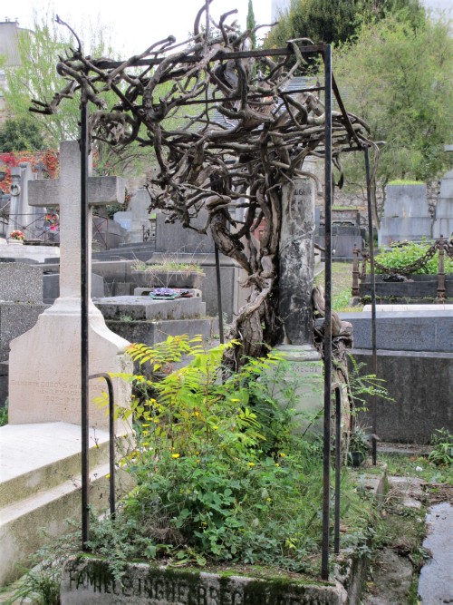 Ten graves at Saint-Vincent Cemetery, Montmartre, ParisIn case you’re wondering, Michou was a French