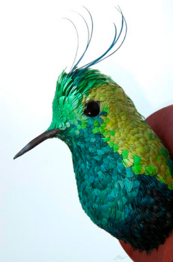 wacky-thoughts:  Hyperrealistic Hummingbird Sculptures from Paper by Jose Suris IV 