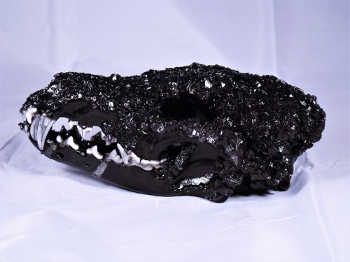 i-m-snek:Black crystal gradient skull. $100 + $14 shipping to US. Send me an ask if interested! SO
