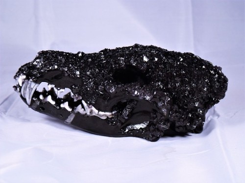 i-m-snek:  Black crystal gradient skull. $100 + $14 shipping to US. Send me an ask if interested!&nb