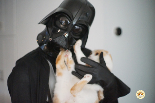 waffles-the-cat:  Happy Halloween, may the adult photos