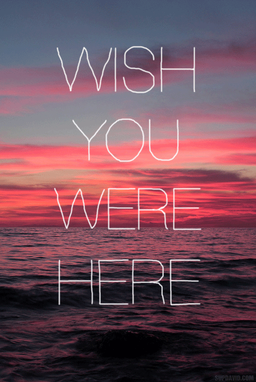 silly-luv:  ♡ find your best posts on my blog ♡
