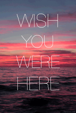 Silly-Luv:  ♡ Find Your Best Posts On My Blog ♡
